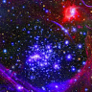 Meet your Posher, Julianna